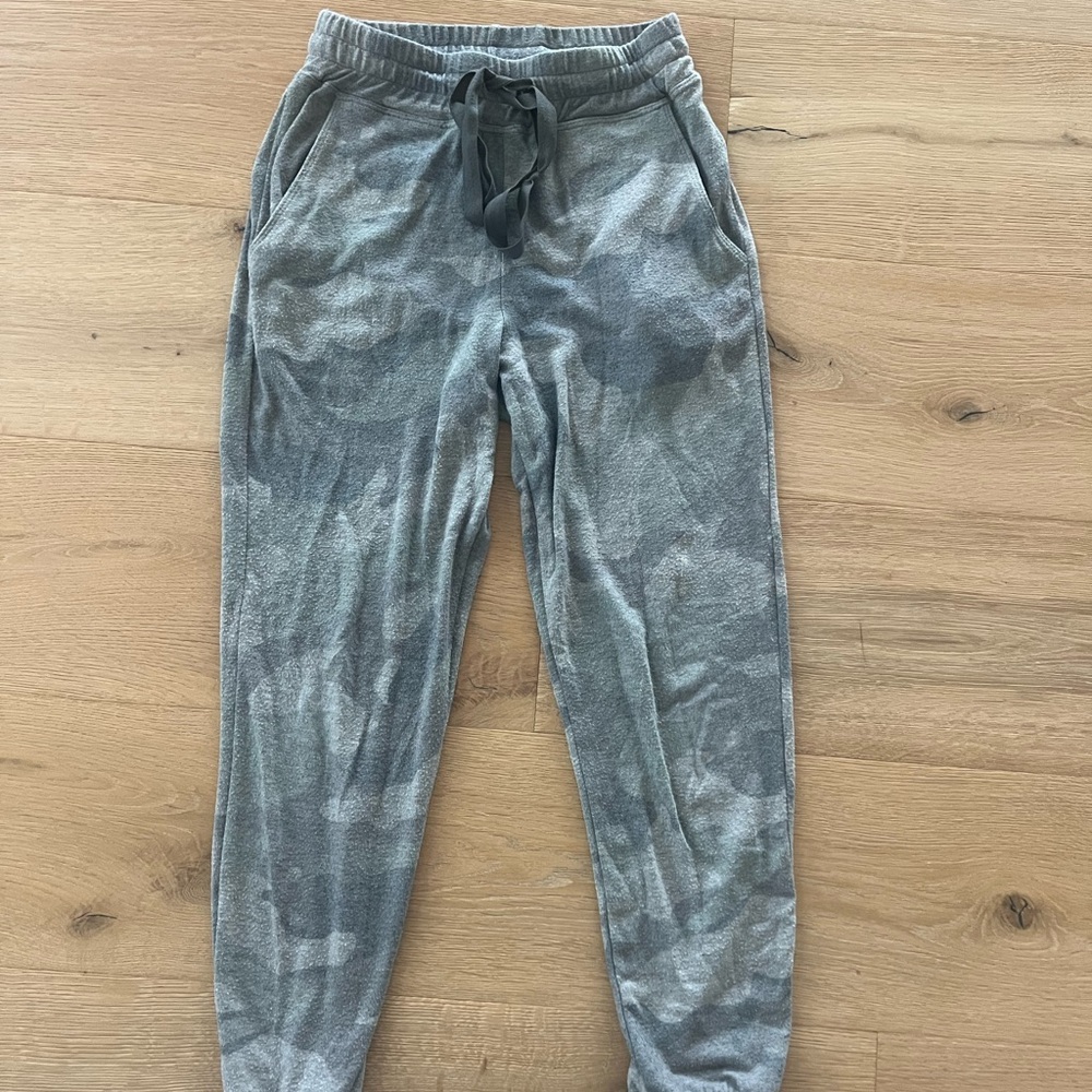 Sundry Gray Velour Sweatpants with Elastic Waistband